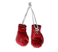 COSSIKA Gants de Boxe Mini Gants de Boxe Ornement de Noël de Vacances Suspendue ou Affichage de Souvenirs pour la Maison en Cuir Noir/Bleu/Rose/Rose Blanc Taille 10x6 cm/3,94x2,36 pouces 2 pièces