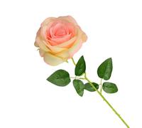 Cosswe Rose Éternelle, Fleur Artificielle en Soie Élégante - Cadeau Romantique pour Saint Valentin, Fête des Mères, Noël, Anniversaire - Décorative pour Salon, Mariage, Cérémonie (Couleur Champagne)