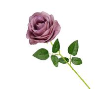 Cosswe Rose Éternelle, Fleur Artificielle en Soie Élégante - Cadeau Romantique pour Saint Valentin, Fête des Mères, Noël, Anniversaire - Décorative pour Salon, Mariage, Cérémonie (Gris fumé)