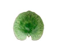 Costa Nova Plat Riviera Alchemille Tomato. 18 cm