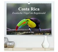 Costa Rica - Exotische Vögel im Regenwald (hochwertiger Premium Wandkalender 2026 DIN A2 quer), Kunstdruck in Hochglanz: Impressionen aus der Vogelwelt in Costa Rica