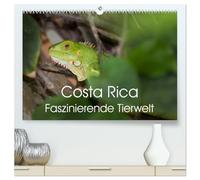 Costa Rica. Faszinierende Tierwelt (hochwertiger Premium Wandkalender 2026 DIN A2 quer), Kunstdruck in Hochglanz: Eindrucksvolle Aufnahmen von der einzigartigen Tierwelt Costa Ricas