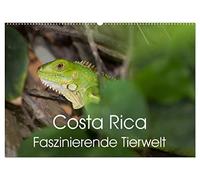 Costa Rica. Faszinierende Tierwelt (Wandkalender 2026 DIN A2 quer), CALVENDO Monatskalender: Eindrucksvolle Aufnahmen von der einzigartigen Tierwelt Costa Ricas