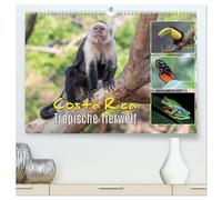 Costa Rica - Tropische Tierwelt (hochwertiger Premium Wandkalender 2026 DIN A2 quer), Kunstdruck in Hochglanz: Exotische Tiere aus dem Regenwald