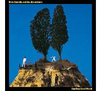 Elvis Costello - Goodbye Cruel World