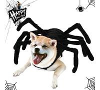 Costume d'araignée d'Halloween pour chien et chat, costume d'Halloween drôle pour animal domestique, costume d'araignée réglable avec 8 pattes d'araignée, tenue de fête