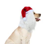 Costume de chien à barbe, chapeau de noël pour animaux de compagnie (M)