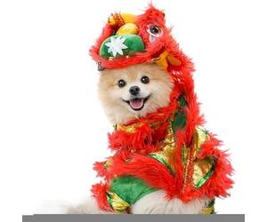 Costume de chien du Nouvel An chinois - 32 x 27 cm Costume de chien de danse du chinois pour le Nouvel An | Vêtements traditionnels pour chiens Festival du printemps chinois | Robe de carnaval