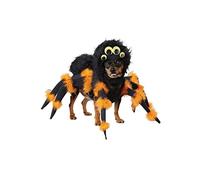 Costume de Chiot araignée Taille XS