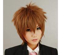 Costume de Cosplay perruque Katekyo Hitman Reborn Sawada Tsunayoshi cheveux synthétiques bruns montrer l'image