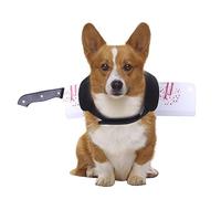 Costume de Couteau Anti-Taches de Sang pour Chiens, Accessoires de Vacances d ' Halloween, Accessoires Photo adaptés Chats et Chiens, Costumes d ' Halloween pour Animaux de Compagnie, Chats