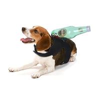 Costume de Couteau Anti-Taches de Sang pour Chiens, Accessoires de Vacances d ' Halloween, Accessoires Photo adaptés Chats et Chiens, Costumes d ' Halloween pour Animaux de Compagnie, Chats