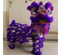 Costume de danse de dragon chinois pour 2 joueurs - Mascotte - Sport de plein air - Lion - Pour festivals et événements