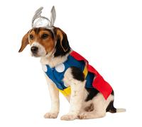 Costume De Dos Thor Adulte Petit