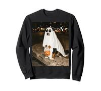 Costume de fantôme pour Chien de Montagne Bernois pour Halloween Sweatshirt