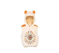 Costume de lio lion 2 ans 92 cm