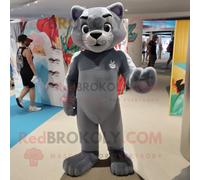 Costume De Mascotte Redbrokoly Puma Gris Habillé Avec Un Maillot De Bain Et Des Pinces À Chaussures Multicolore