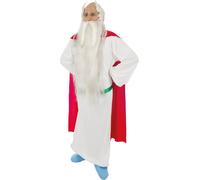 Costume de Panoramix pour hommes