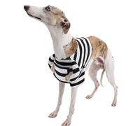 Costume de prisonnier d'Halloween pour animal de compagnie avec tableaux d'écriture, uniforme de prison, tenue de costumade pour séance photo et médias sociaux_XL