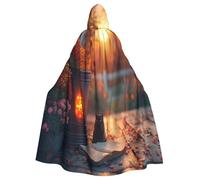 Costume de sorcière The Courtyard at Dusk - Costume d'Halloween d'horreur avec cape à capuche pour homme, parfait pour cosplay et fêtes