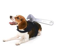 Costume de taches de sang pour chiens et chats - Accessoires de vacances d'Halloween - Accessoires de photo - Costume d'Halloween pour animaux domestiques