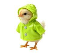 Costume de , vêtements doux et anti-rayures pour animaux de compagnie, costume de poussin, pour une utilisation dans la cour, sur la terrasse, dans la cour, sur la pelouse, ainsi que à