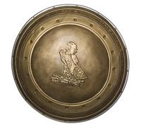 Costume De Wonder Woman Pour Enfant Avec Bouclier 12"