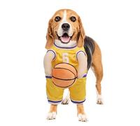 Costume d'Halloween de basket-ball pour animal domestique - Costume de basket-ball pour chien avec balle - Costume d'Halloween de basket-ball pour chien Regarder un chien, c'est comme se transformer