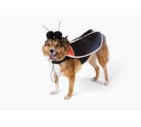 Costume d'Halloween Firefly Lightning Bug pour chien, taille S