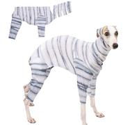 Costume d'Halloween pour chien - Grands animaux de compagnie - Momies - Fête festive - Costume cool - Accessoires d'Halloween