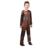 Costume Enfant Hiccup Garçon Comment Élever Votre Dragon Le Monde Caché