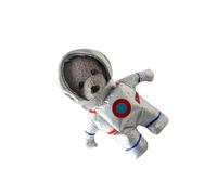 Costume fantaisie pour chien Spaceflyer avec plan de fin rapide, exemple pour les fêtes, les photos, les incidents, facile à porter