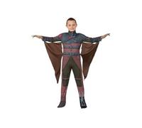 Costume Harold Dragon 2 pour enfant - 3-4 ans