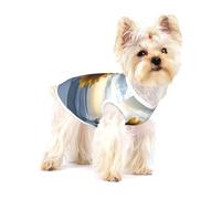 Costume mignon pour chien - Pull doux 100 % coton pour chiens de petite et moyenne taille - Parfait pour un usage quotidien et des occasions spéciales Tournesols à l'aube
