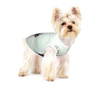 Costume mignon pour chien - Pull doux 100 % coton pour chiens de petite et moyenne taille - Parfait pour un usage quotidien et des occasions spéciales Mouette
