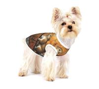 Costume mignon pour chien - Pull doux 100 % coton pour chiens de petite et moyenne taille - Parfait pour un usage quotidien et des occasions spéciales - Couple heureux écureuil