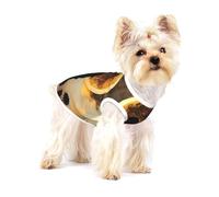 Costume mignon pour chien - Pull doux 100 % coton pour chiens de petite et moyenne taille - Parfait pour un usage quotidien et des occasions spéciales Silhouette solitaire