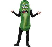 Costume Pickle Rick Rick Et Morty Adultes Tenue De Fête Film Dessin Animé