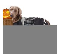 Costume pour chien | Tenue squelette pour chien - Vêtements d'Halloween pour animaux de compagnie - Body pour amis en plein air, cosplay, maison, voyage, vacances, réunion photo, célébration