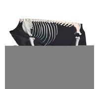 Costume pour chien | Tenue squelette pour chien | Vêtements d'Halloween pour rassembler des amis, photo quotidien, vacances, cosplay, célébrations en plein air, voyage, maison