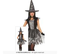 Costume Sorcière Silver pour Femme Halloween, Déguisement Fantaisie Multi