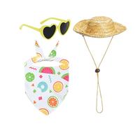 Costumes d'animations de véranda - Mignon chapeaux d'oies de jardin - Lunettes de soleil à thème vacances à la plage - Chapeau de paille pour piscine décoration de fenêtre mariage au bord de la mer