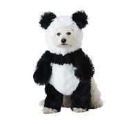 Costumes de Californie pour Chien