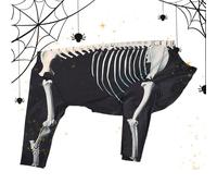 Costumes d'Halloween pour chien - Costume de squelette pour chien | Combinaison de chiot, vêtements d'Halloween pour animaux de compagnie, idéal pour les photos, les célébrations, les voyages, les