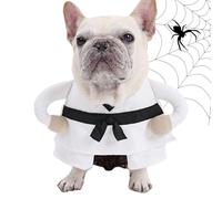 Costumes d'Halloween pour chien - Costume d'Halloween pour chat - Geste amusant - Style Kung Fu avec design créatif - Tenue pour séance photo - Fête - Cosplay - Tenue quotidienne - Noël, mariage