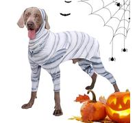Costumes d'halloween pour Chien lyanny | Tenue de Chien Squelette | Costume de Cosplay de Chat, Costume d'animal de Compagnie drôle pour l'événement de Cosplay de fête d'halloween