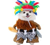 Costumes d'Halloween pour chiens, costumes d'animaux amusants, déguisement de carnaval pour Halloween, scène théâtrale festive, promenade, vacances