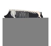 Costumes pour chiens - Tenue squelette canine - Vêtements d'Halloween pour animaux de compagnie Bodysuit pour extérieur amis cosplay maison voyage réunions photos festives