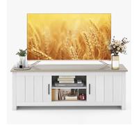 Costway60" Meuble TV avce 4 Compartiments 2 portes 2 Trous de Gestion des Câbles pour Salon 145 x 39,5 x 49,5 cm Gris