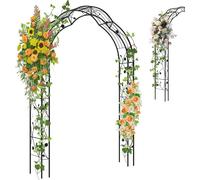 COSTWAY Arc de roses semi-circulaire, arc de jardin en métal pour plantes grimpantes, 2 demi-arcs jardin, support pour plantes grimpantes 150x39x250cm noir